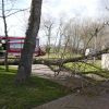 technische Hilfeleistung Baum