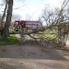 technische Hilfeleistung Baum