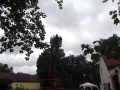 DSCF1325