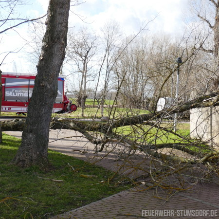 technische Hilfeleistung Baum technische Hilfeleistung Baum
