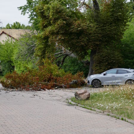 technische Hilfeleistung Baum technische Hilfeleistung Baum