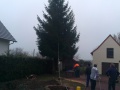 IMAG0411