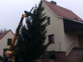 IMAG0445