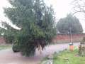 IMAG0467