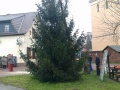 IMAG0471