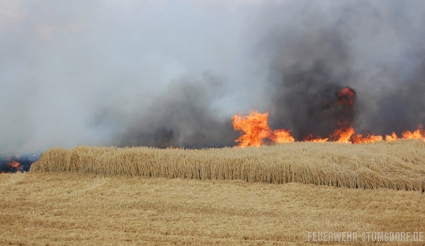 Einsatzfoto Feldbrand