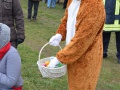 DSC 0202