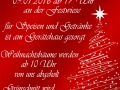 Weinachtsbaumverbrennen 2016 Web