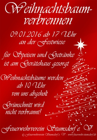 Weinachtsbaumverbrennen 2016 Web